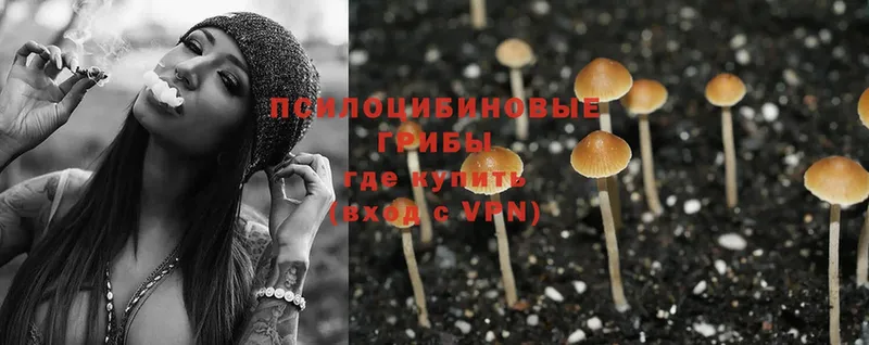 площадка какой сайт  Шали  Галлюциногенные грибы Magic Shrooms  купить  цена 